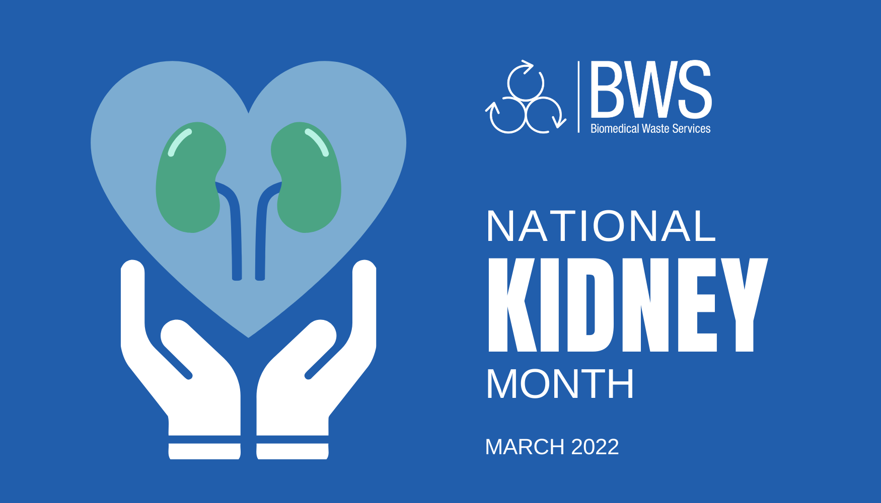 March is National Kidney Month